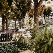 Lade das Bild in den Galerie-Viewer, Gechillt Gegrillt - 20.06.2026